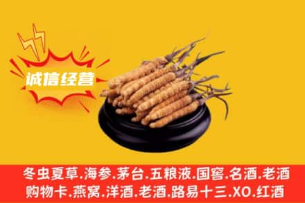 边坝县回收冬虫夏草